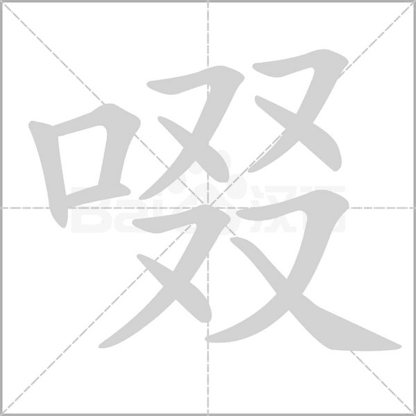 笔顺动画