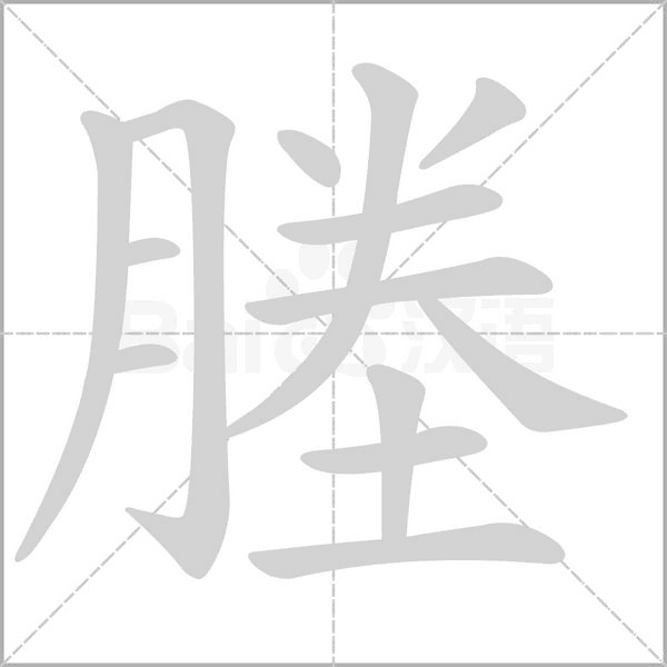 笔顺动画