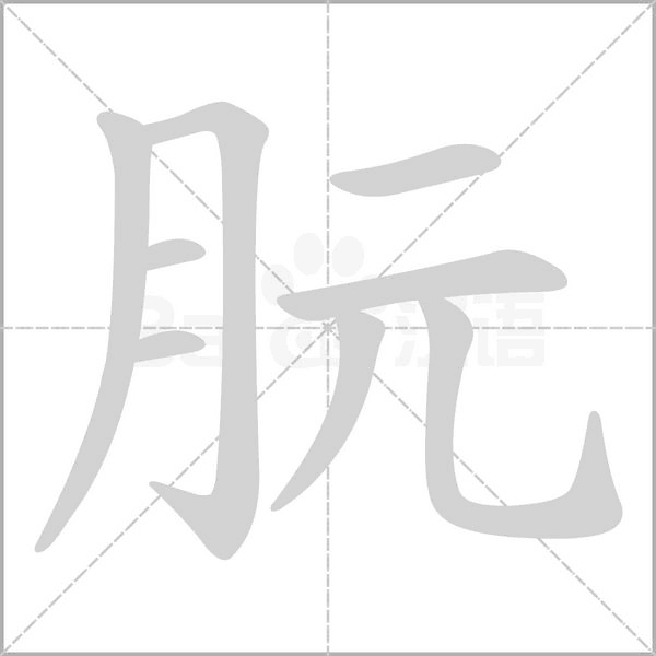 笔顺动画