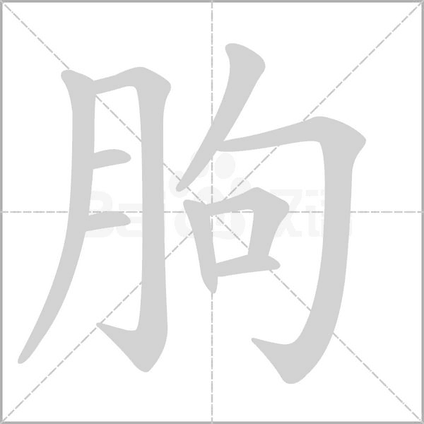 笔顺动画