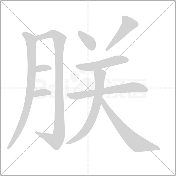 笔顺动画