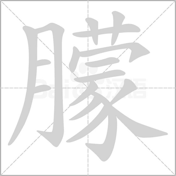 笔顺动画