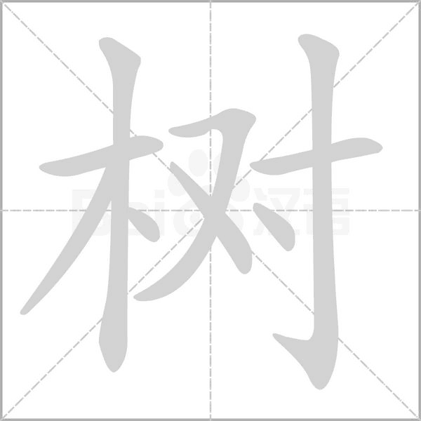 笔顺动画