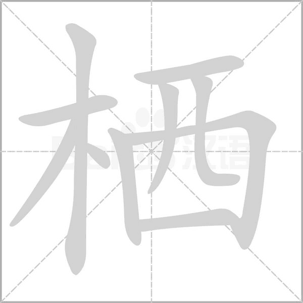 笔顺动画