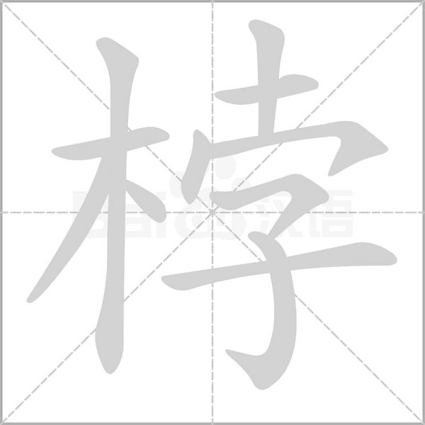 笔顺动画