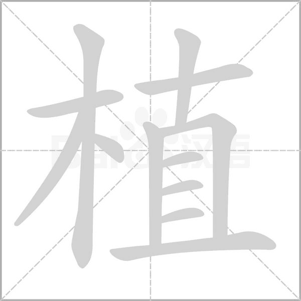 笔顺动画