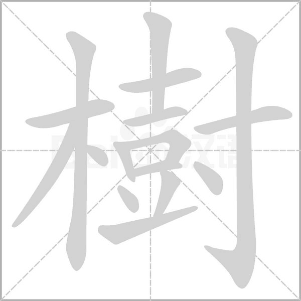 笔顺动画