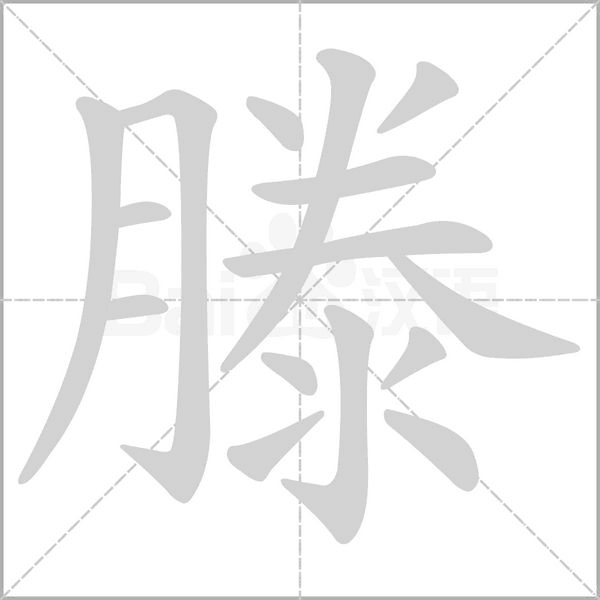 笔顺动画