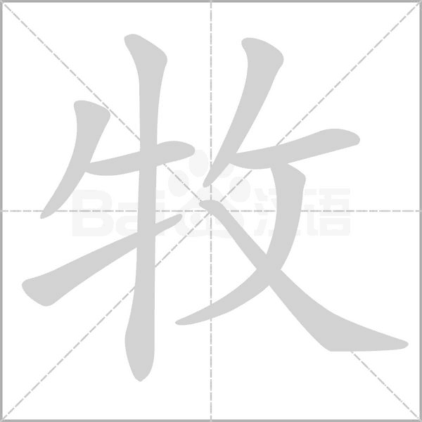笔顺动画