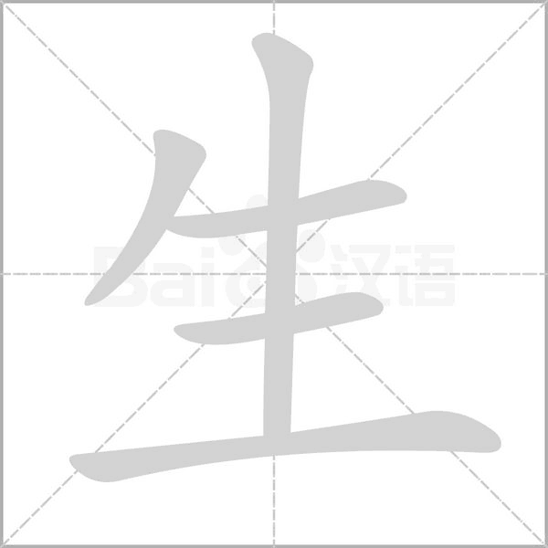 笔顺动画