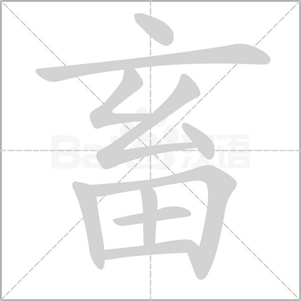 笔顺动画