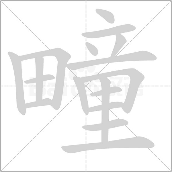 笔顺动画