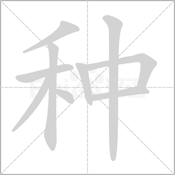 笔顺动画