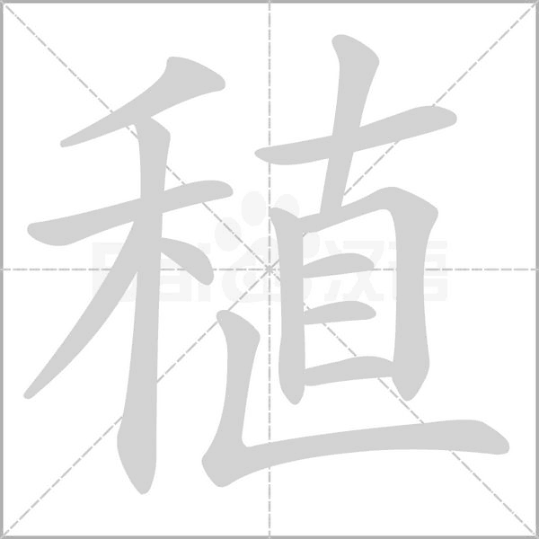 笔顺动画