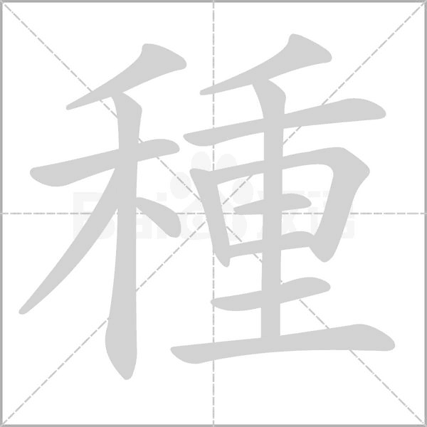 笔顺动画
