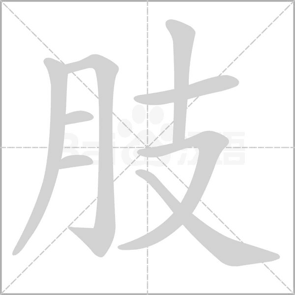 笔顺动画