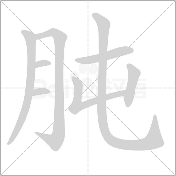 笔顺动画