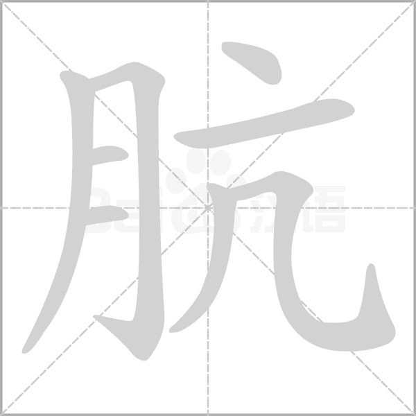 笔顺动画