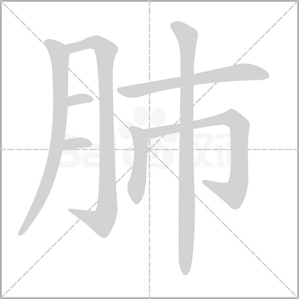 笔顺动画