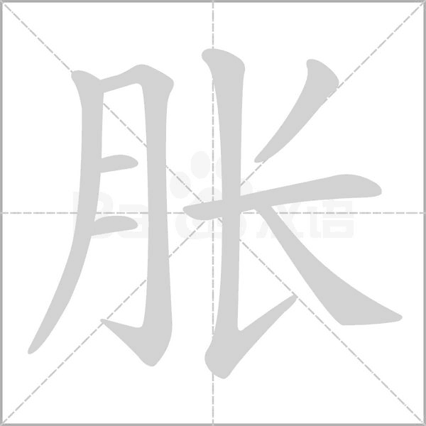 笔顺动画