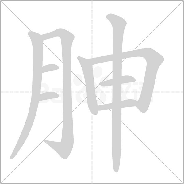 笔顺动画