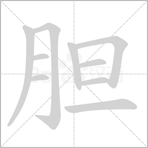 笔顺动画