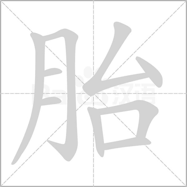 笔顺动画