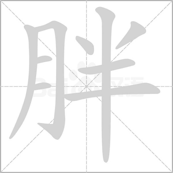 笔顺动画
