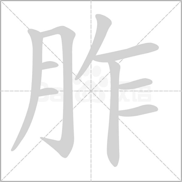 笔顺动画