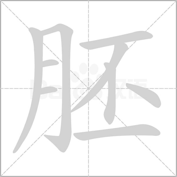 笔顺动画
