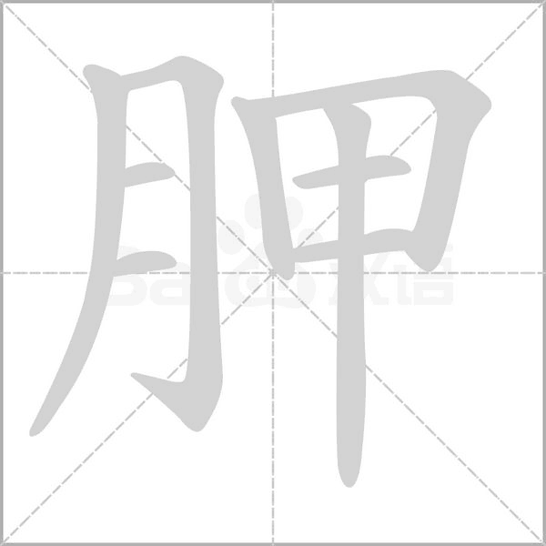 笔顺动画