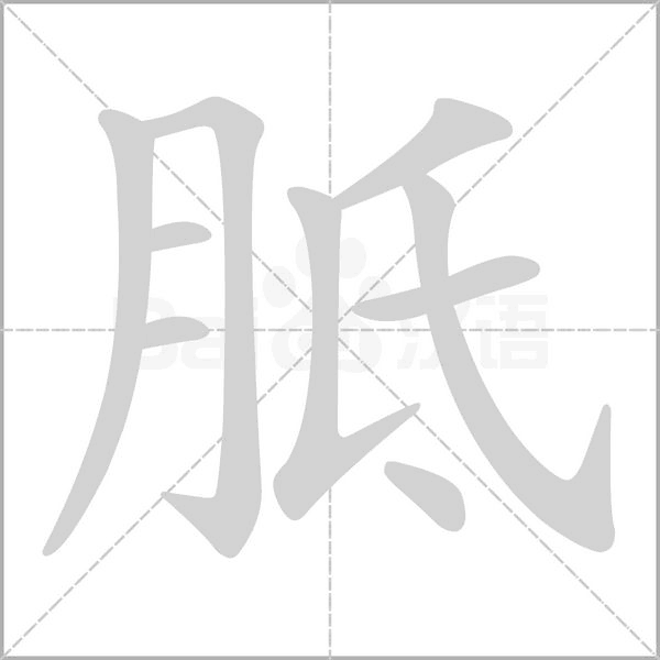 笔顺动画