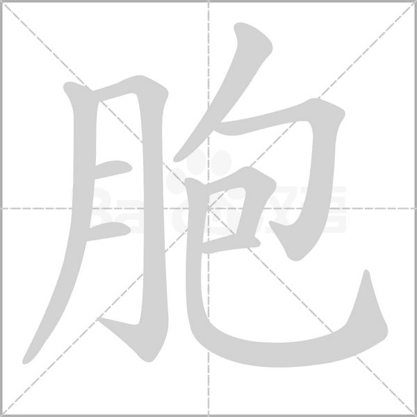 笔顺动画
