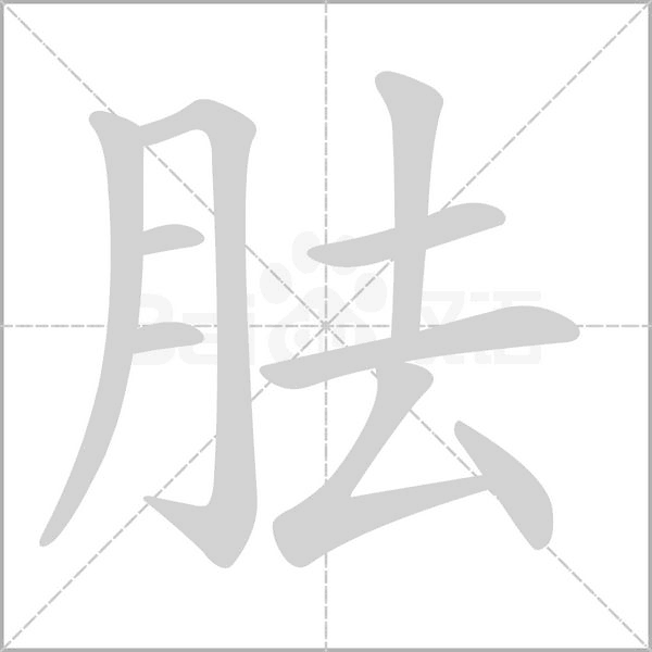 笔顺动画