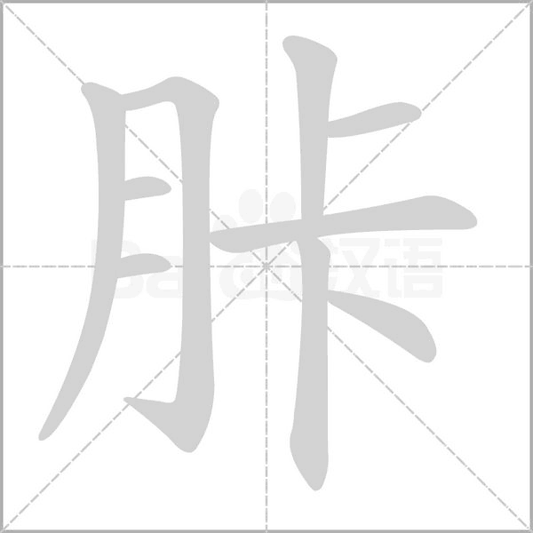 笔顺动画