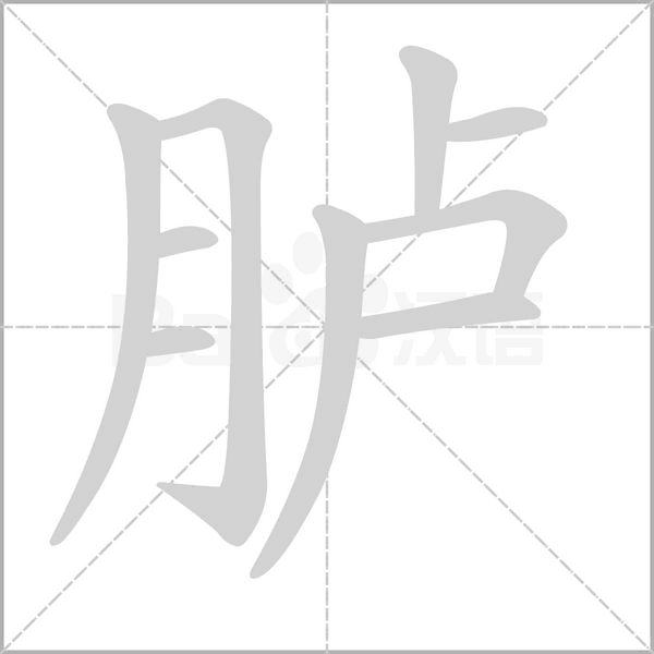 笔顺动画