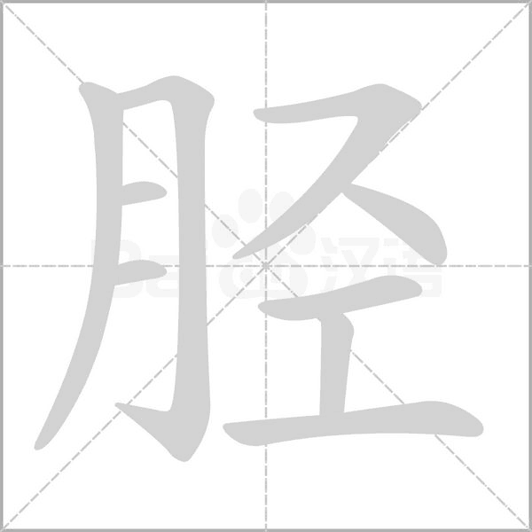 笔顺动画