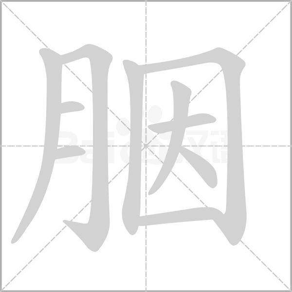 笔顺动画