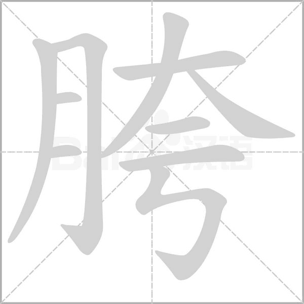 笔顺动画