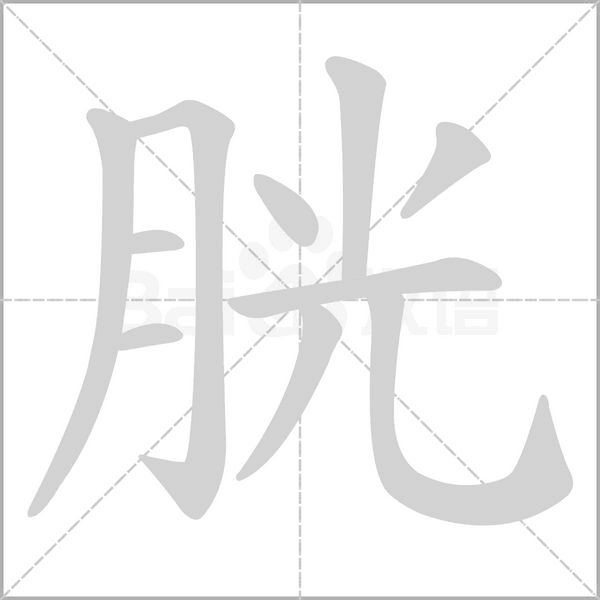笔顺动画