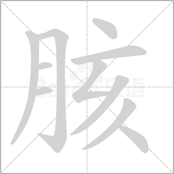 笔顺动画