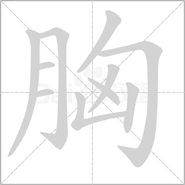 笔顺动画