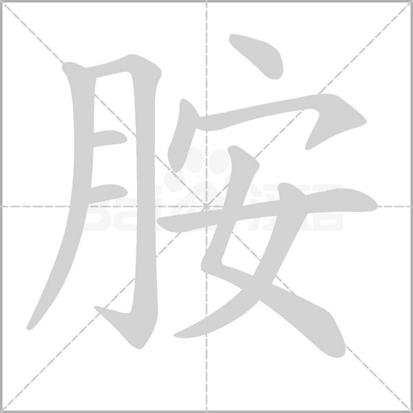 笔顺动画