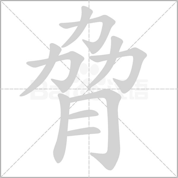 笔顺动画
