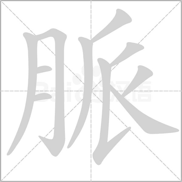 笔顺动画