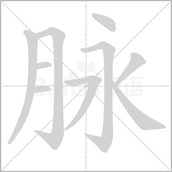 笔顺动画