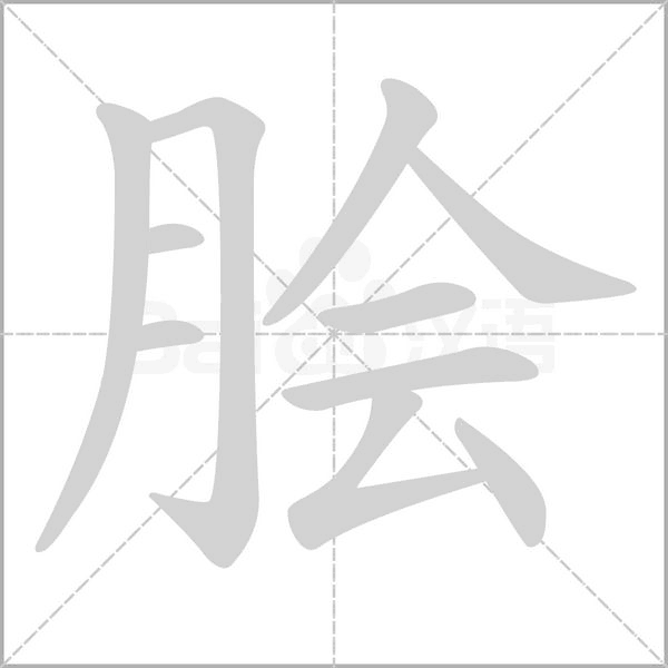 笔顺动画