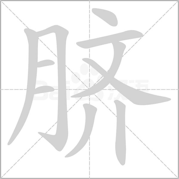 笔顺动画