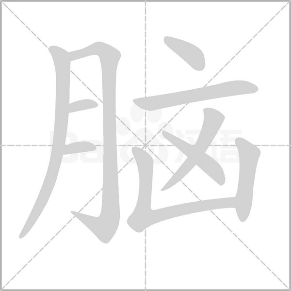 笔顺动画