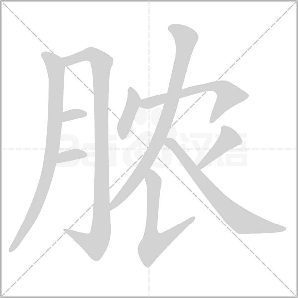笔顺动画
